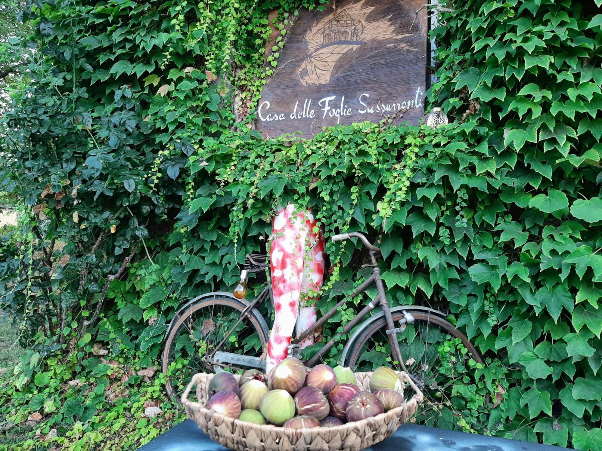 Casa Delle Foglie Sussurranti Villa Asti Kültér fotó